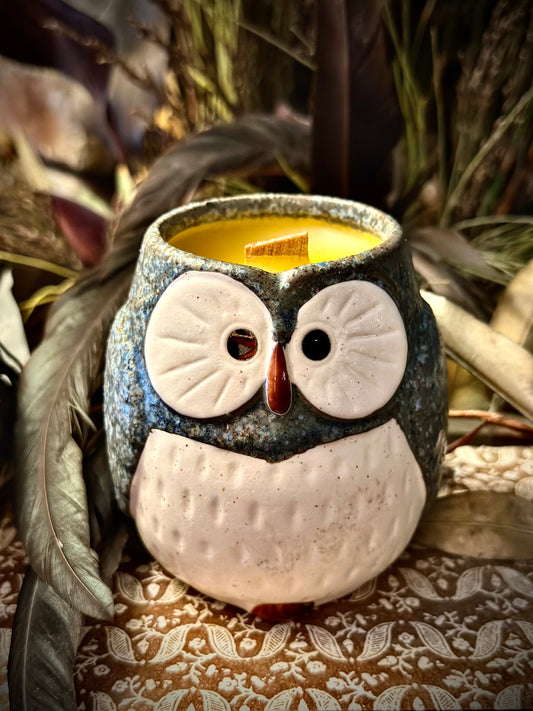 Vintage Otagiri Owl Candle