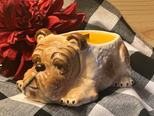 Bulldog Candle